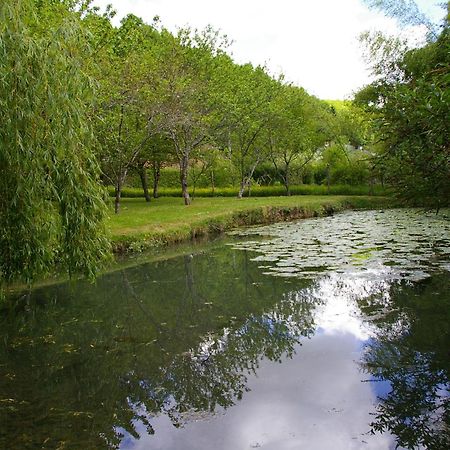 Bed and Breakfast La Source De Bury Chambon-sur-Cisse Екстер'єр фото