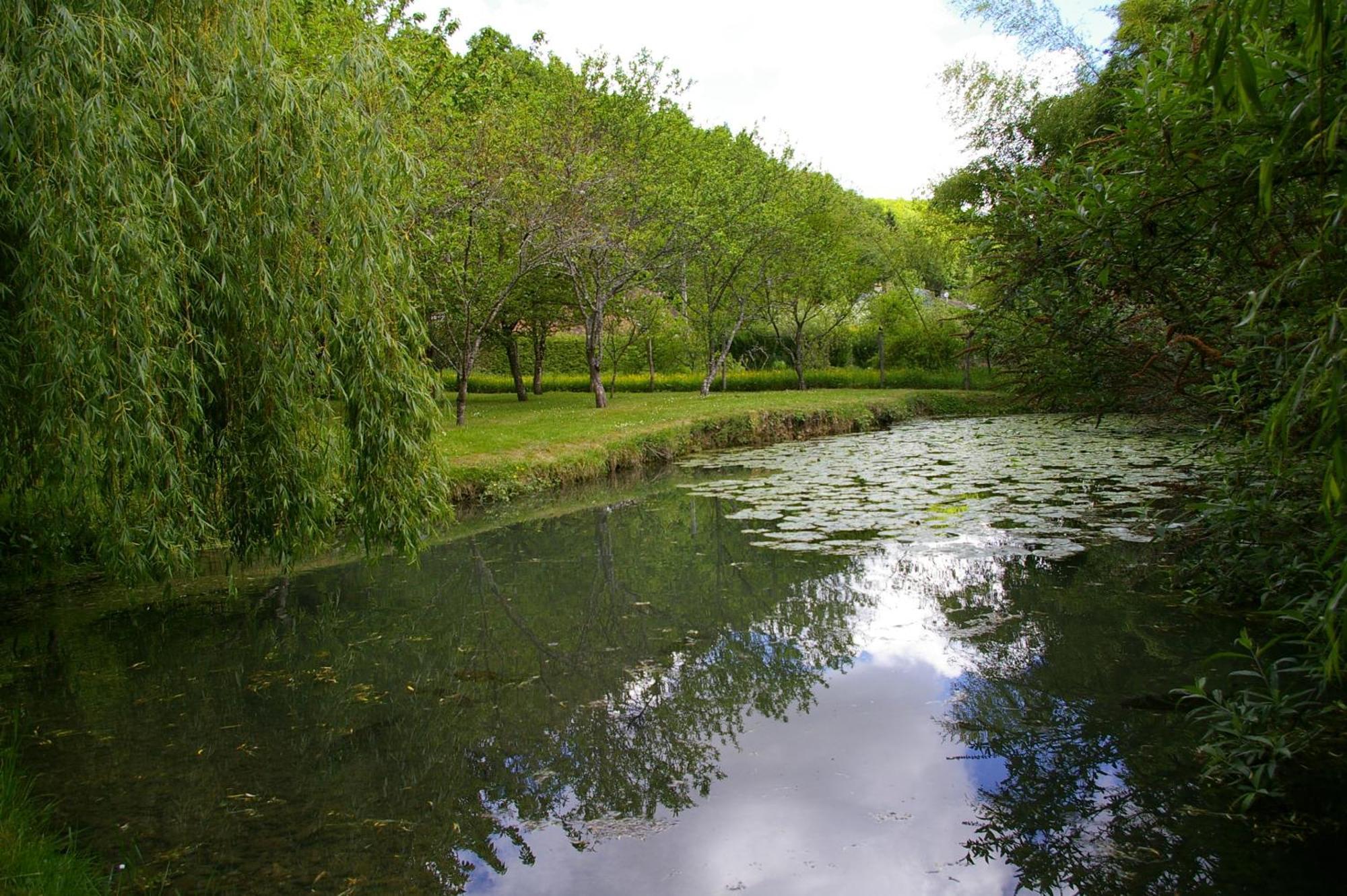 Bed and Breakfast La Source De Bury Chambon-sur-Cisse Екстер'єр фото