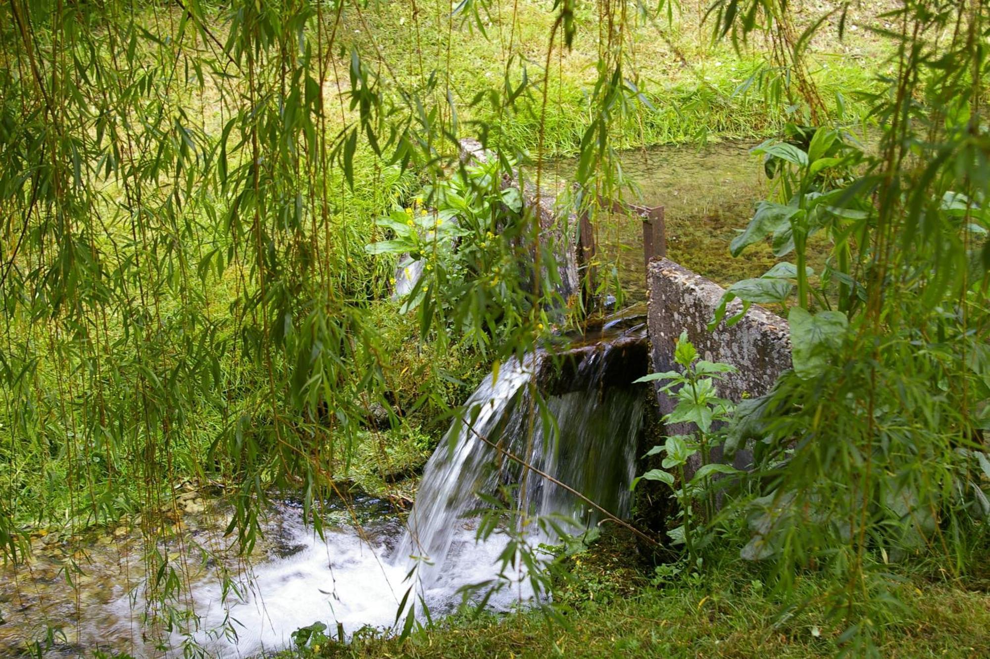 Bed and Breakfast La Source De Bury Chambon-sur-Cisse Екстер'єр фото