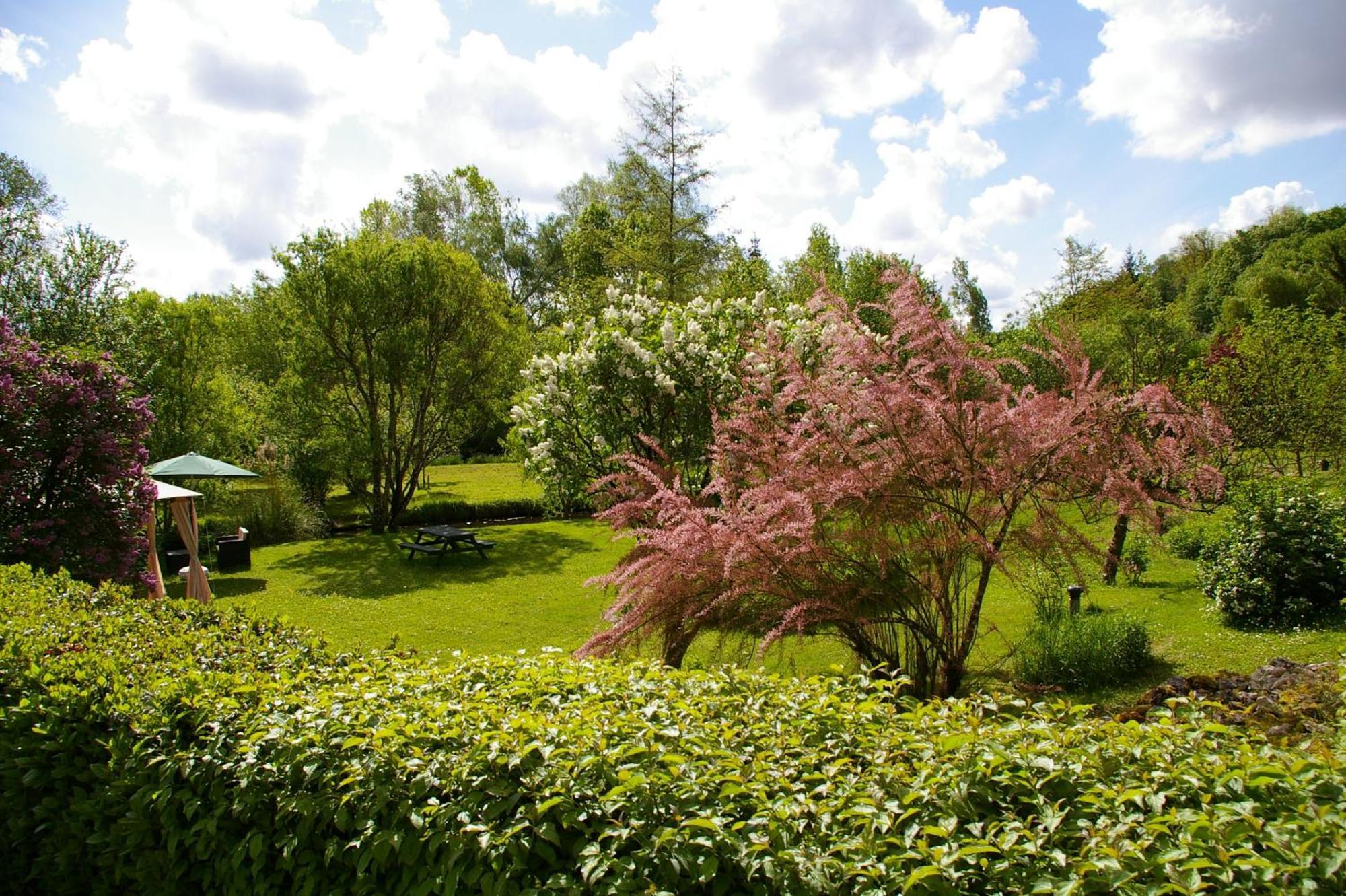 Bed and Breakfast La Source De Bury Chambon-sur-Cisse Екстер'єр фото