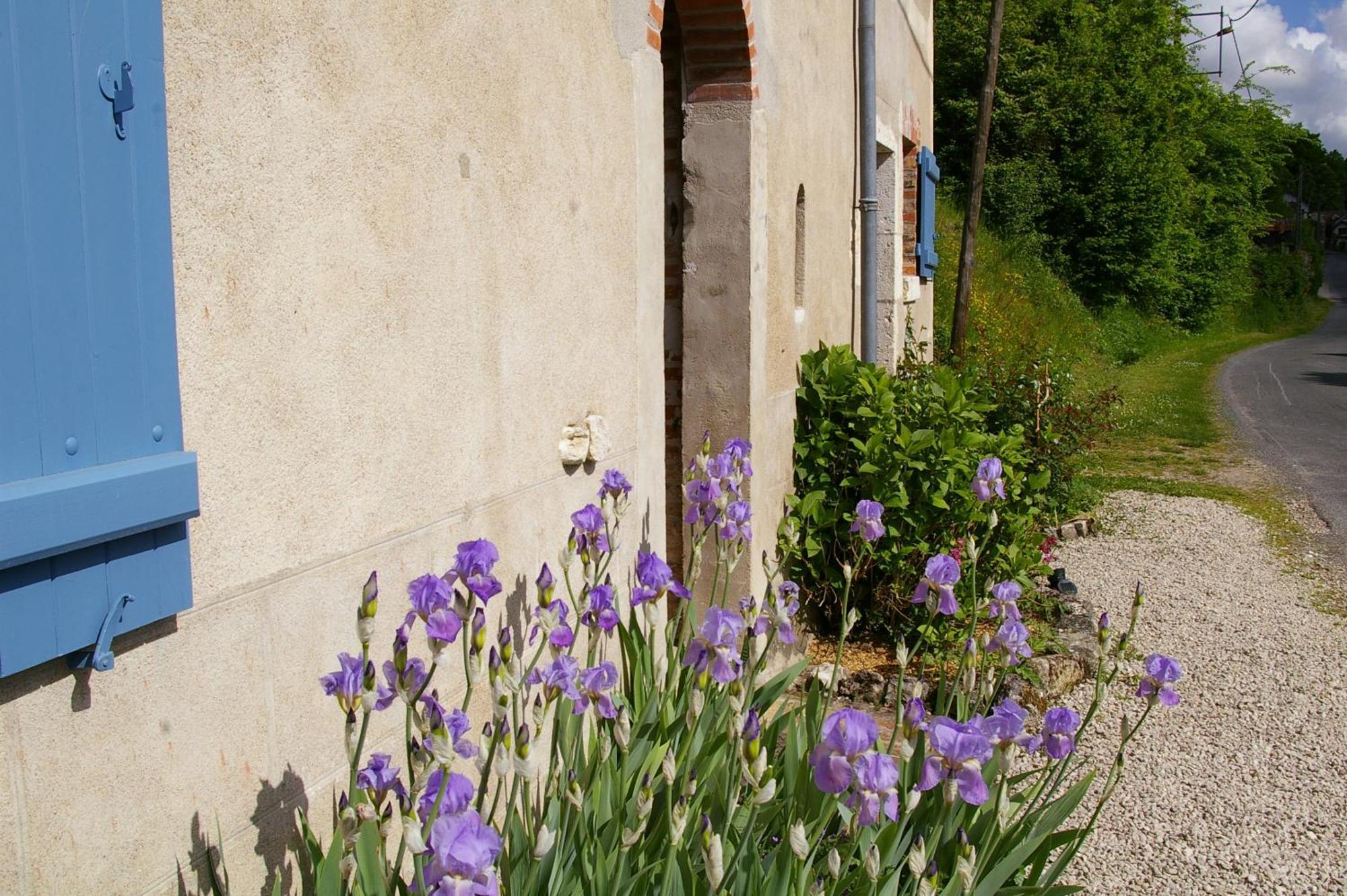 Bed and Breakfast La Source De Bury Chambon-sur-Cisse Екстер'єр фото